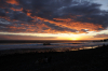 DSC_5053_00001