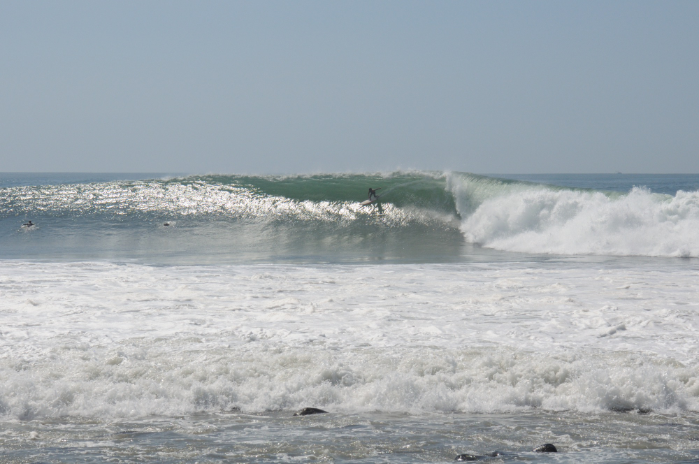 DSC_5365_00001