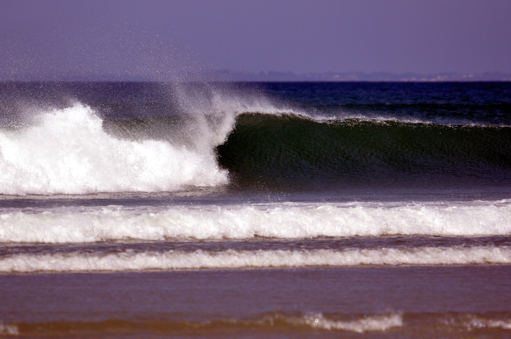 DSC_5445