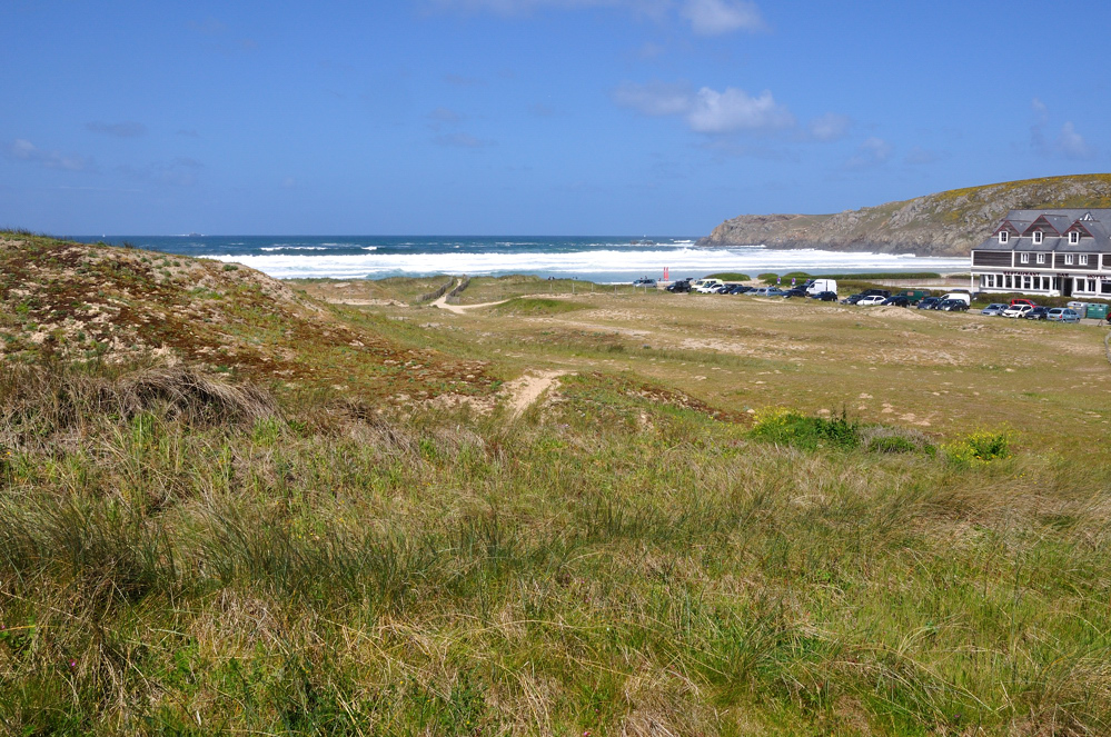 DSC_8265_sc
