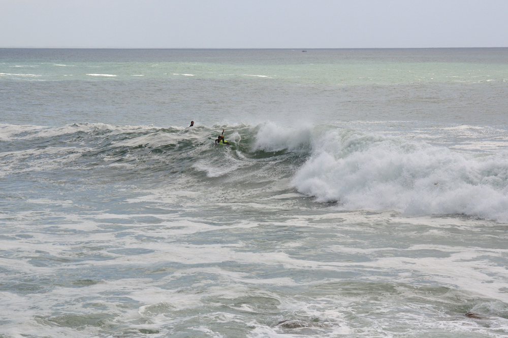 DSC_8272_sc