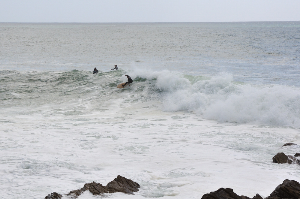 DSC_8284_sc